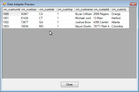 ADO.NET Visual Tutorial Preview Data2