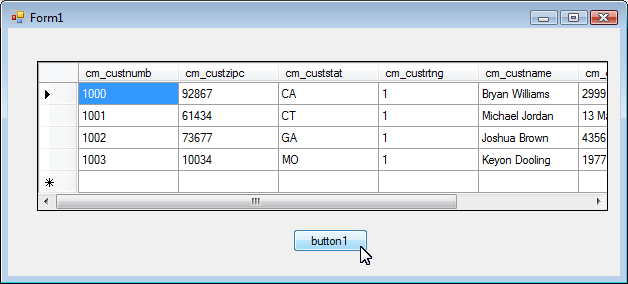 ADO.NET Visual Tutorial Run program