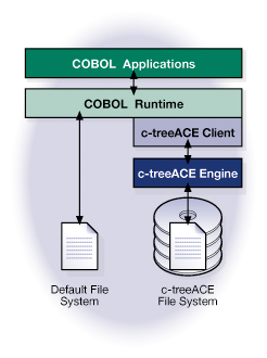 COBOL Files System