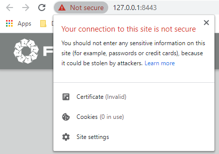 Google Chrome when visiting a site with an invalid certificate
